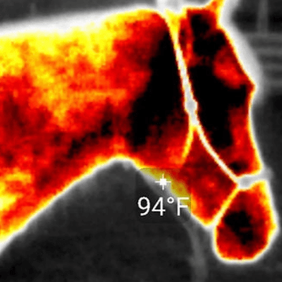 Thermal Imaging